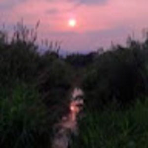 Meet your Posher, Pravin